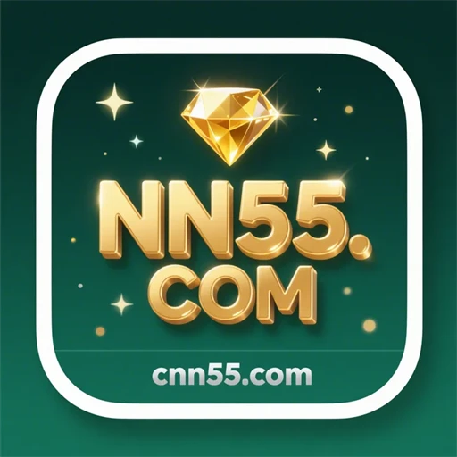 nn55.com